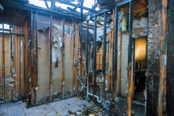 Professional Fire Damage Removal technician working in Cheltenham, PA